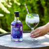 Chuckling! Blueberry Bon Bon Gin - 70cl